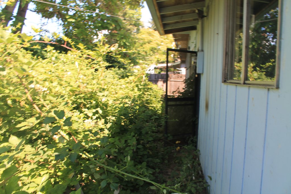 backofhouselookingeastgaragescreendoorisopen.jpg